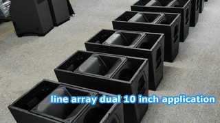 dual 10 inch line array usage